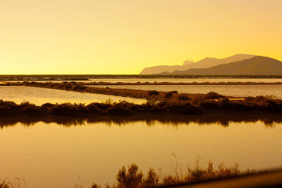 The Soul of Salt: The Story Behind Ibiza’s Ancient Salt Fields